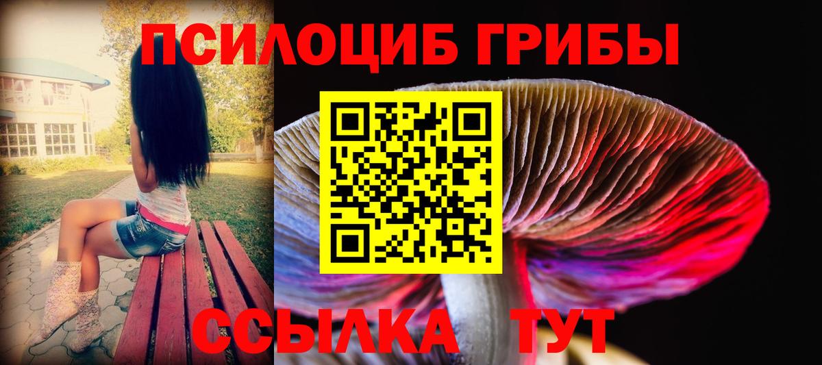 Псилоцибиновые грибы Psilocybe Керчь
