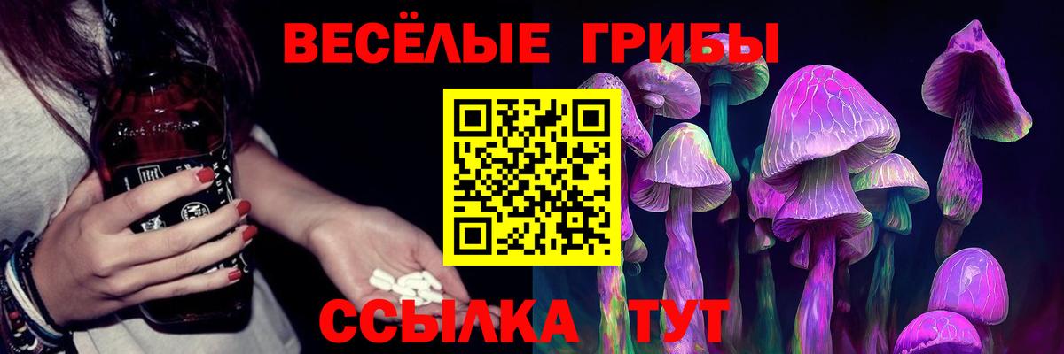Керчь  Псилоцибиновые грибы Magic Shrooms  Вход с VPN 